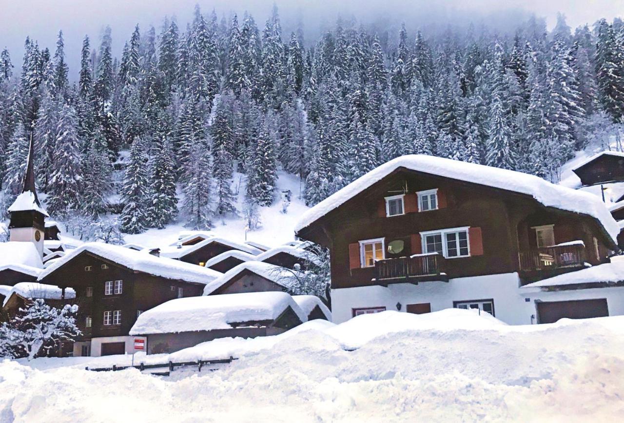Апартаменты Haus Bortis Goms Экстерьер фото